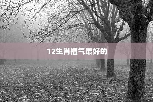 12生肖福气最好的