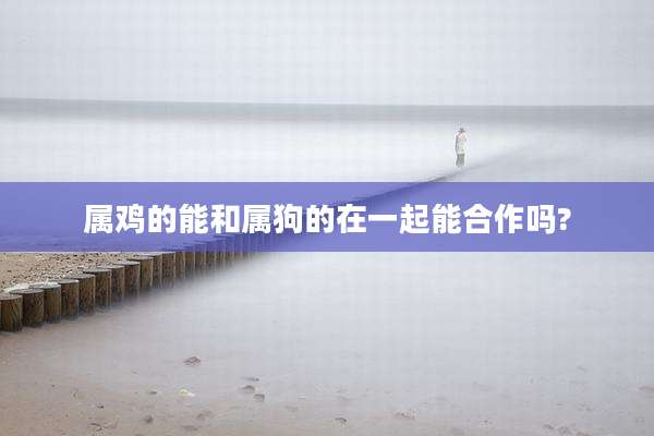 属鸡的能和属狗的在一起能合作吗?