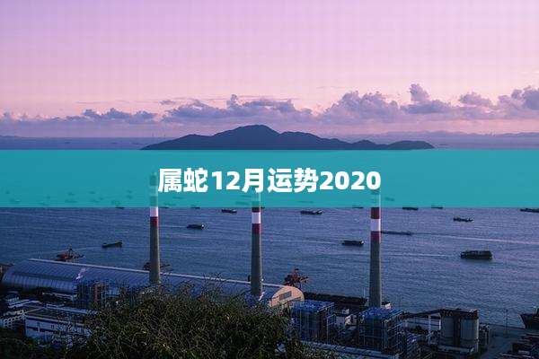 属蛇12月运势2020