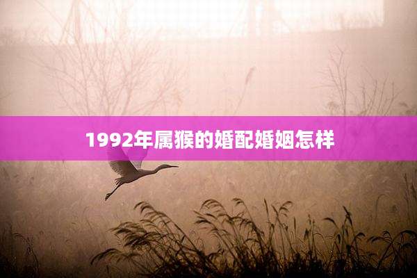 1992年属猴的婚配婚姻怎样