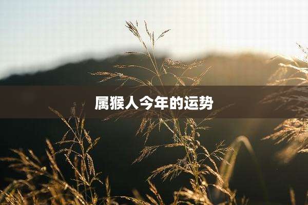 属猴人今年的运势