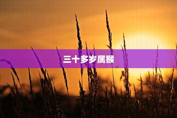 三十多岁属猴