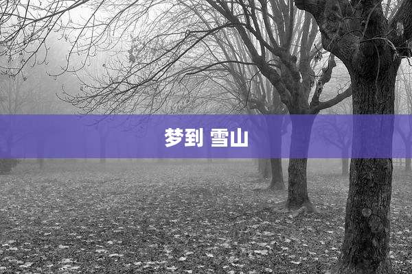 梦到 雪山