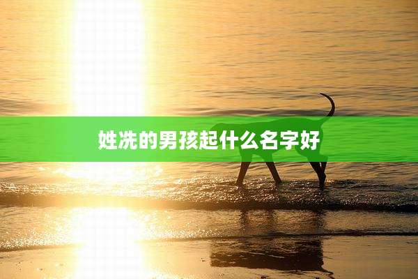 姓冼的男孩起什么名字好