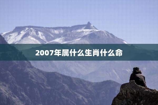 2007年属什么生肖什么命