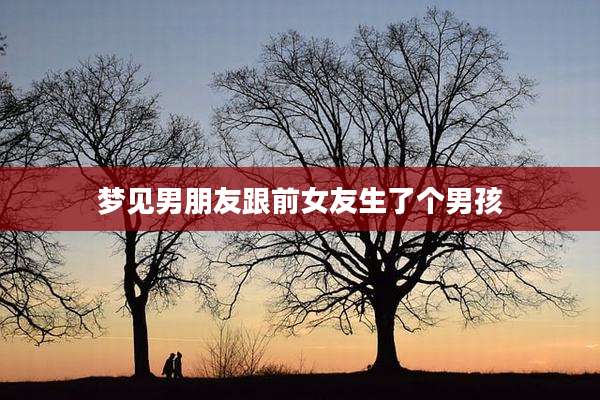 梦见男朋友跟前女友生了个男孩