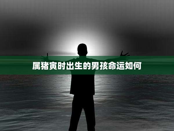 属猪寅时出生的男孩命运如何