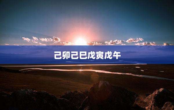 己卯己巳戊寅戊午