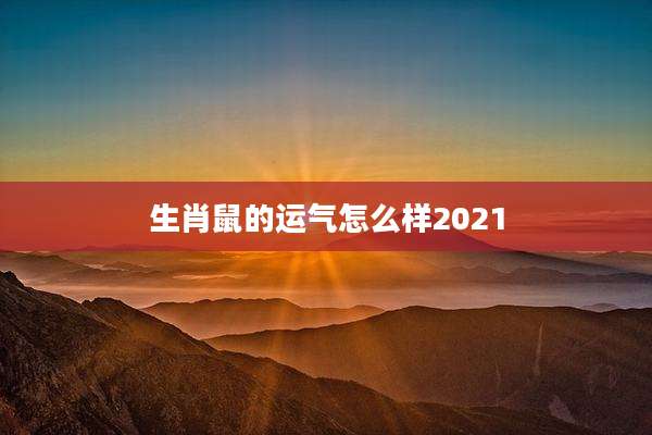 生肖鼠的运气怎么样2021