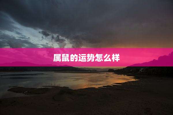属鼠的运势怎么样