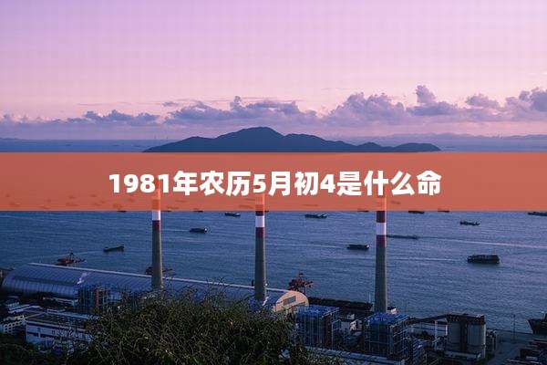 1981年农历5月初4是什么命