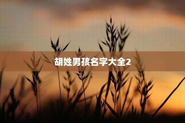 胡姓男孩名字大全2