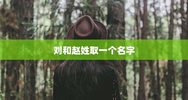 刘和赵姓取一个名字