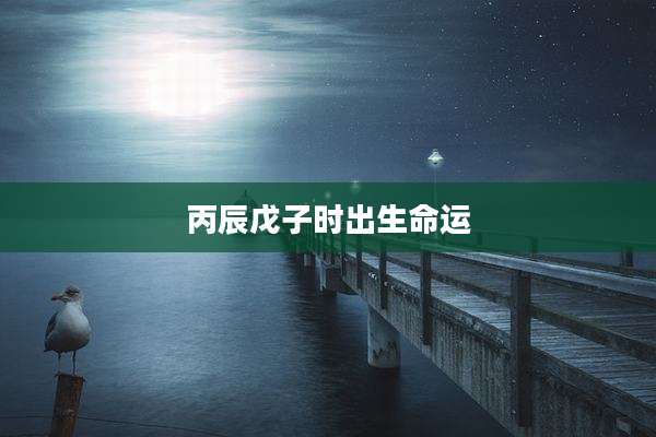 丙辰戊子时出生命运