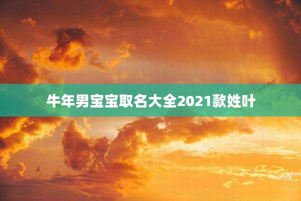牛年男宝宝取名大全2021款姓叶