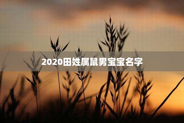 2020田姓属鼠男宝宝名字