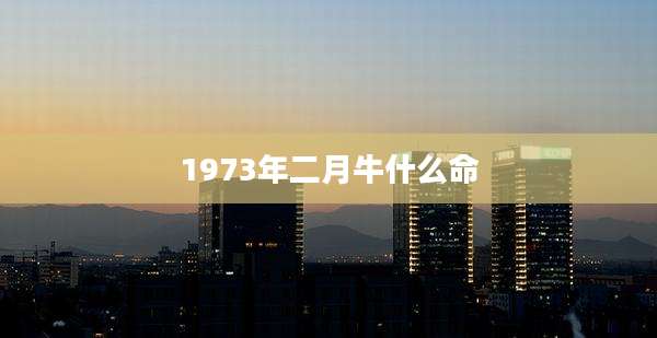 1973年二月牛什么命