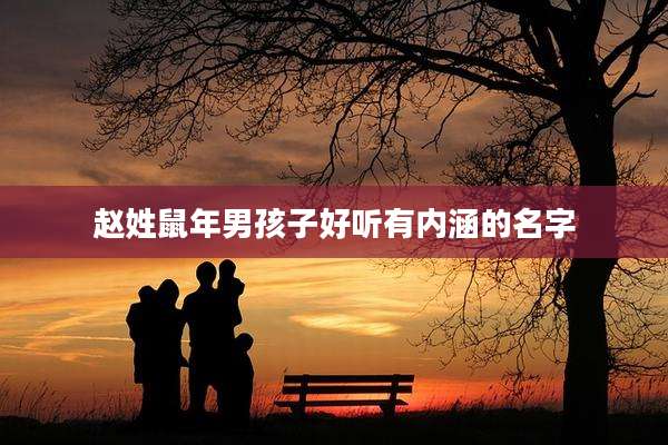 赵姓鼠年男孩子好听有内涵的名字
