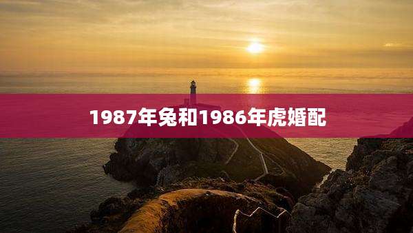 1987年兔和1986年虎婚配