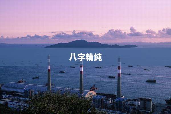 八字精纯
