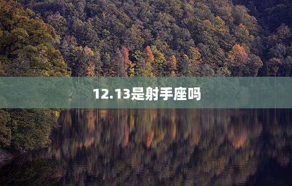 12.13是射手座吗