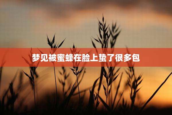 梦见被蜜蜂在脸上蛰了很多包