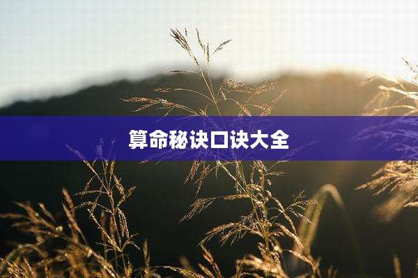 算命秘诀口诀大全