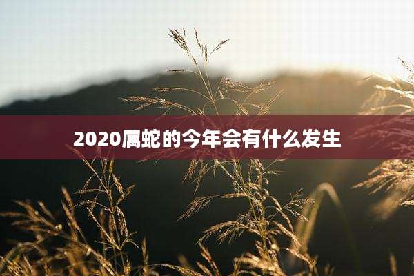 2020属蛇的今年会有什么发生