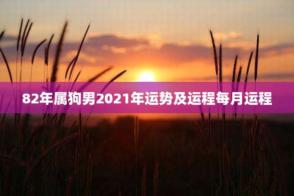 82年属狗男2021年运势及运程每月运程
