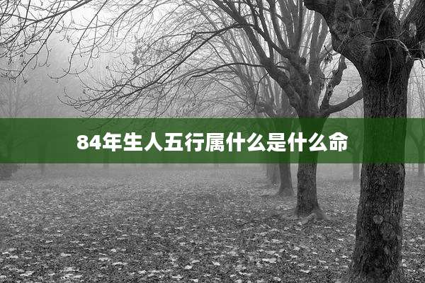84年生人五行属什么是什么命