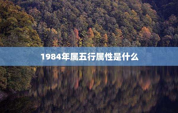 1984年属五行属性是什么