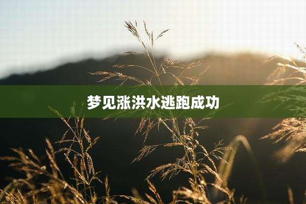 梦见涨洪水逃跑成功