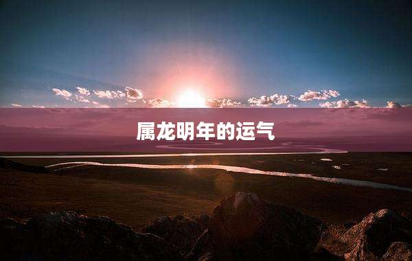 属龙明年的运气