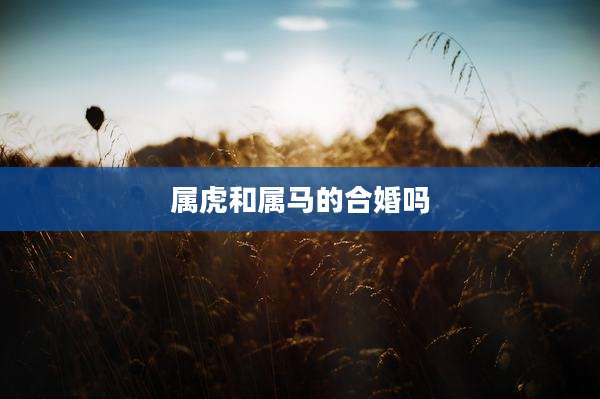 属虎和属马的合婚吗
