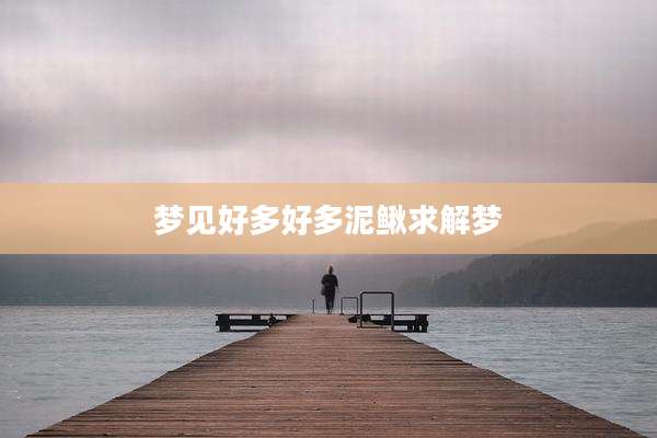 梦见好多好多泥鳅求解梦