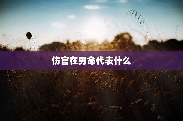 伤官在男命代表什么