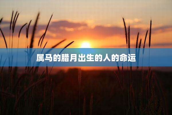 属马的腊月出生的人的命运