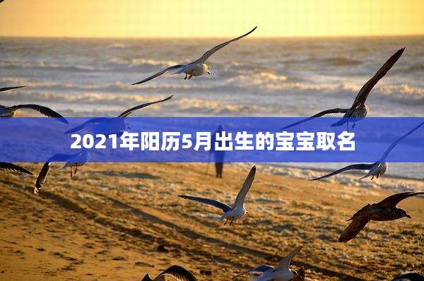 2021年阳历5月出生的宝宝取名