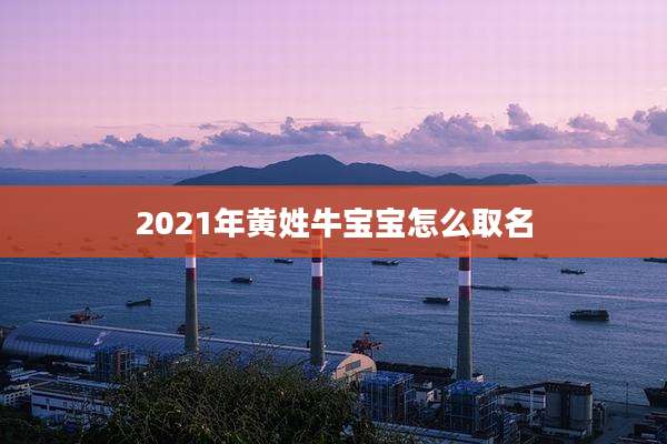 2021年黄姓牛宝宝怎么取名
