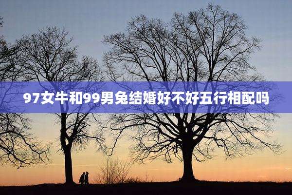 97女牛和99男兔结婚好不好五行相配吗