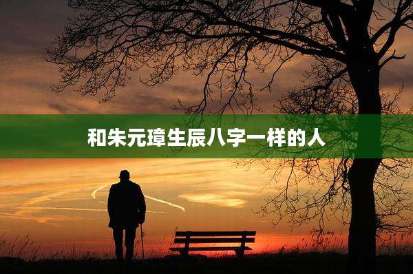 和朱元璋生辰八字一样的人