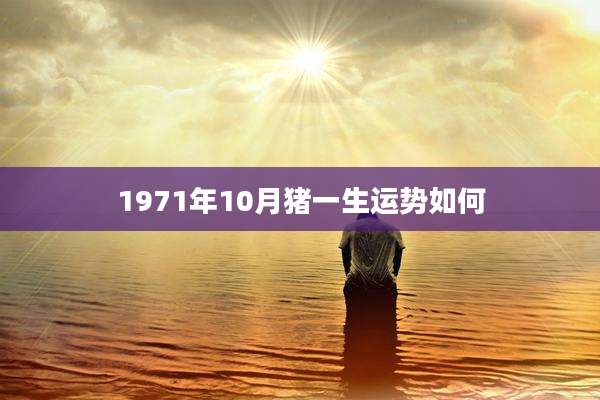 1971年10月猪一生运势如何