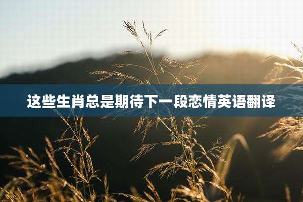这些生肖总是期待下一段恋情英语翻译