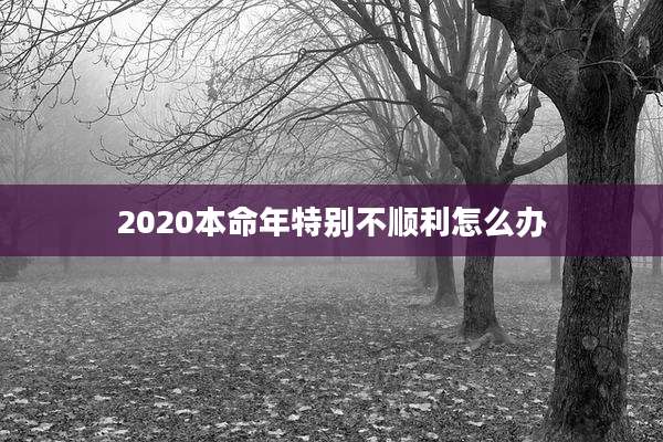 2020本命年特别不顺利怎么办