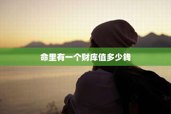 命里有一个财库值多少钱