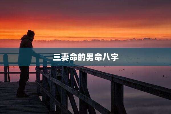三妻命的男命八字