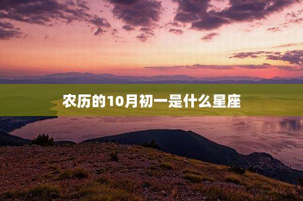 农历的10月初一是什么星座