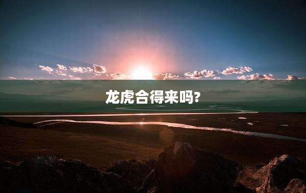 龙虎合得来吗?