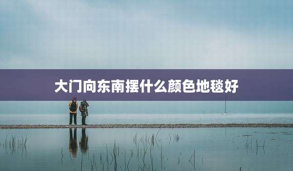 大门向东南摆什么颜色地毯好