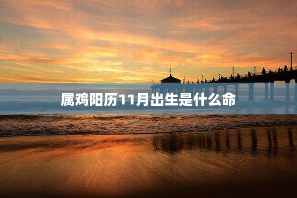 属鸡阳历11月出生是什么命